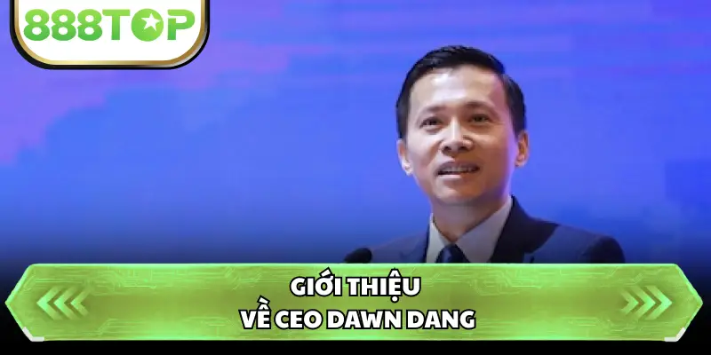 Giới thiệu về CEO Dawn Dang