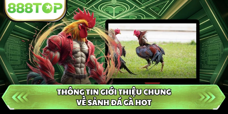 Thông tin giới thiệu chung về sảnh đá gà hot